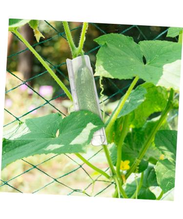 SUPVOX 4pcs Fruit Vegetables Shaping Pentagram Planting Star Accessories Plangting Plastic Mould Mold - Buy Online on SooperMarket.com