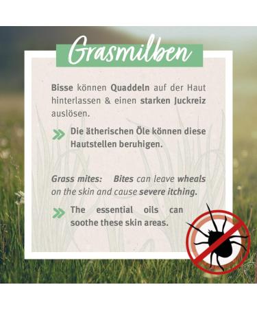 Aniforte Grasmilbel Ex Spray 500ml - Effective Grass Mite & Parasite Defense for Dogs | Soothes Itchy Skin - Buy Online on SooperMarket.com