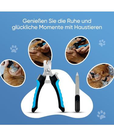 HOMJOY Professional Pet Nail Scissors & Files - Stainless Steel Nail Clippers for Dogs Cats Guinea Pigs - Safe & Durable Blue - Buy Online on SooperMarket.com