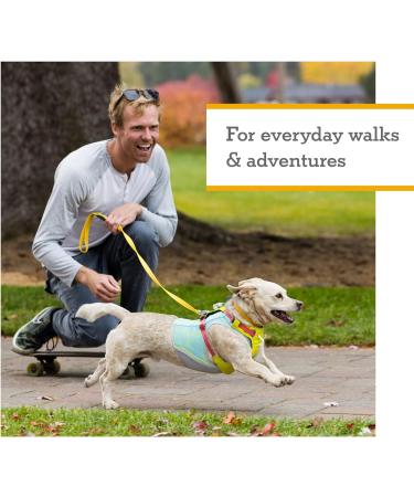 Ruffwear Hi & Light Dog Harness | Lightweight No Pull Harness for All Sizes | Fully Adjustable with Lead Attachment & ID Bag - Lichen Green Medium - Buy Online on SooperMarket.com
