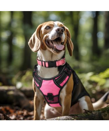 Joytale Reflective Dog Collar for Small Dogs - Pink S | Safe & Stylish | International Shipping - Buy Online on SooperMarket.com