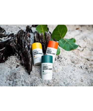 Barstool Sports Men's Aluminum-Free Deodorant - Coastal Lavender and Sea Salt Scent | Natural Odor Protection with Essential Oils | Gentle on Sensitive Skin - Buy Online on SooperMarket.com