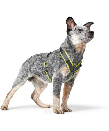 HUNTER Harness Maldon 47-69/SM Lime/Grey - Premium Pet Harness for Ultimate Comfort & Style | International Shipping Available - Buy Online on SooperMarket.com