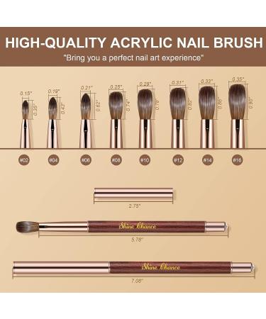 Shine Chance Acrylic Nail Brush Size 8 - 100% Real Kolinsky Art Brush for Acrylic Powder - Handmade Wood Handle Extension Tool for DIY & Professional Use - Buy Online on SooperMarket.com