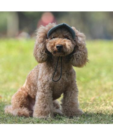BT BEAR Adjustable Baseball Cap for Dogs - Summer Sports Hat with Ear Holes for Small & Medium Dogs (XL Light Blue) | International Shipping - Buy Online on SooperMarket.com
