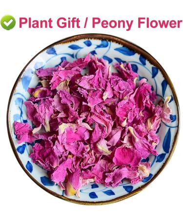 Plant Gift 100% Natural Herbaceous Peony Tea 30g Pink Peony Bud Flower Tea Healthy Dried Flowers for Soap Making Supplies Also for All Kinds of Flower Crafts - Buy Online on SooperMarket.com