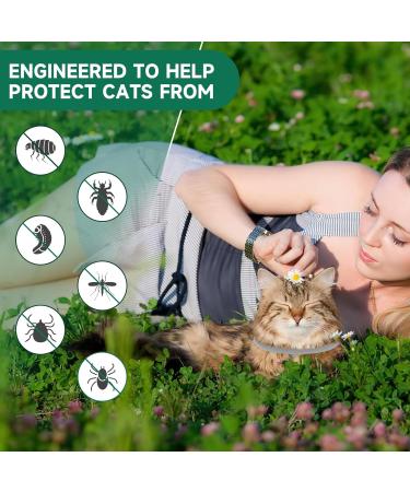 Cat Repellent Treatment Adjustable Cat Repellent Collars Natural Protection Repellent Collar for Cats Water Resistant Repellent Collar for Cats Small-Medium-Large Pink 2pack - Buy Online on SooperMarket.com