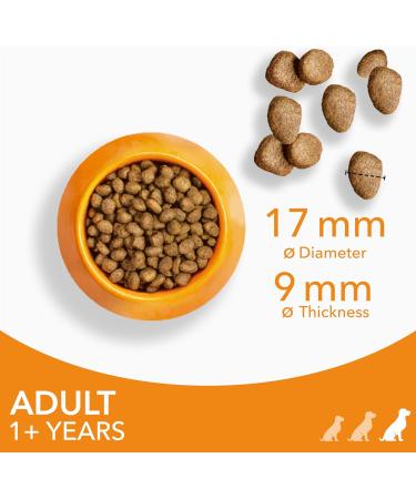 IAMS Complete Dry Dog Food for Adult 1+ Large Breeds with Chicken 12 kg 12 kg (Pack of 1) - Buy Online on SooperMarket.com