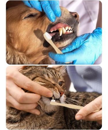 Eco-Friendly Dog Toothbrushes with Faecal Bag Holder - Biodegradable Double-Sided Pet Toothbrushes for Dogs & Cats - Small & Large Head - 1 Pack - Buy Online on SooperMarket.com