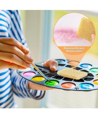 4 PCS 5x7cm Soft Scrapbook Craft Adhesive Remover Sponge Set - Buy Online on SooperMarket.com
