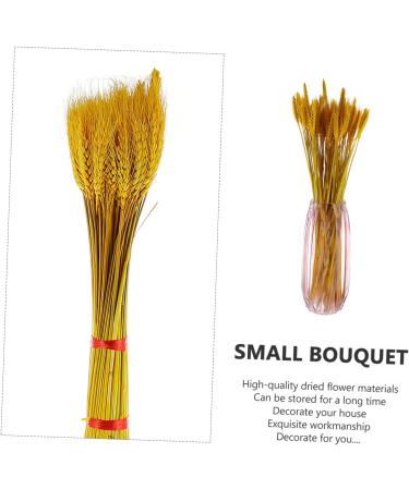 Zerodeko 100pcs Dried Wheat Ears Bouquet Decor Floral Arrangement Wheat Ear Desktop Wheat Ear Dried Flowers Bouquet Wheat Stalks Wedding Wheat Ear Flower Arrangement Dried Flowers. Barley Yellow 52X10CM - Buy Online on SooperMarket.com