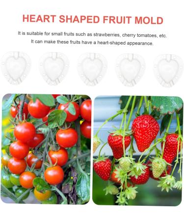 Kisangel 5pcs Fruit Shaping Vegetables Cucumber Fruit Shaper Cherry Tomatoes Stereotypes - Buy Online on SooperMarket.com