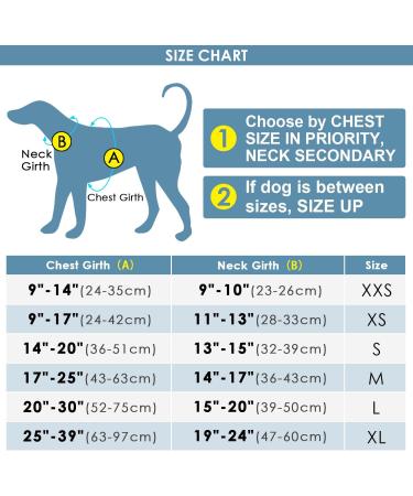 Thinkpet No-Pull Dog Harness Leash Set - Breathable Padded Reflective Safety Harness for Small Medium Large Dogs - Adjustable Running Harness (1 Pack) - Blue - Buy Online on SooperMarket.com