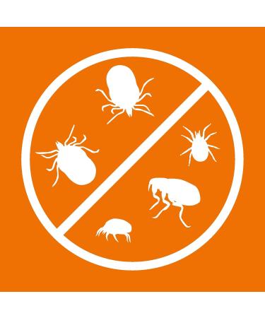 ARDAP Ticks and Flea Powder 150g for Dogs & Cats | Effective Pest Protection Against Fleas Ticks Lice & Mites - International Shipping Available - Buy Online on SooperMarket.com