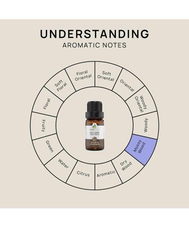 Palo Santo Essential Oil 10 mL - Undiluted Candle Scent for DIY Candlemaking - Safe for Skin - 0.33 Fl Oz (Pack of 1) - Buy Online on SooperMarket.com
