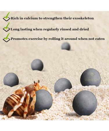 Sungrow 10 Hermit Crab & Crayfish Calcium Supplement Balls - 30+ Minerals for Molting Pets - Buy Online on SooperMarket.com
