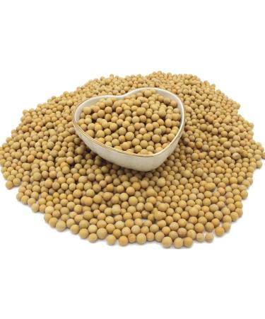 Organic Soya Beans No Additives No Preservatives Raw High Fibre High Protein Vegan GMO-Free - Perfect for Plant-Based Recipes - Thames Organic 500g 500 g (Pack of 1) - Buy Online on SooperMarket.com