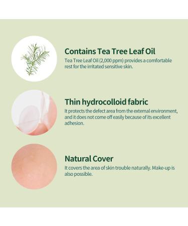 Buy DR.ORACLE TerpinaC Spot Patch - Acne Pimple Master Patch | 92 Dermatologist-Tested Pimple Patches in 12mm & 10mm | Fast International Shipping - Buy Online on SooperMarket.com