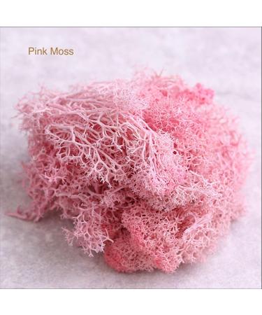 9 OZ Preserved Moss - Natural Live & Fake Moss for Potted Plants, Terrariums, Gardening, Art, Vase Fillers, Craft Floral Wall, Wedding Decor - Green, Purple, Pink - Buy Online on SooperMarket.com