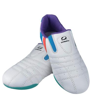 Taekwondo Shoes Martial Arts Sneaker Boxing Karate Kung Fu Tai Chi Shoes Sneakers Lightweight Sports Shoes,Tae Kwon Do Wrestling Fighting Sneakers for Adults Kids Purple 36