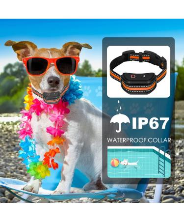 Dog Training Collar with Remote Sound & Vibration Training Modes USB Rechargeable IP67 Waterproof 1000FT Remote Range Remote Anti Bark Collar for Small Medium Large Dogs Orange - Buy Online on SooperMarket.com