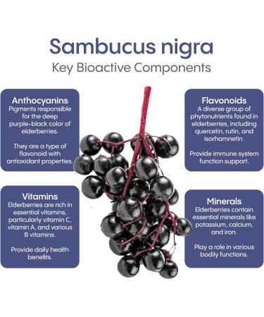 HydraLyte Plus Immunity - Electrolytes + Vitamin C Powder + Elderberry (Sambucus Nigra 35:1 Concentrated Black Elderberry Powder) + Zinc - Daily Hydration Powder With Immune Support for Ages 19+ - Buy Online on SooperMarket.com