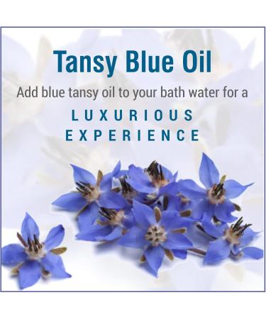 Crysalis Tansy Blue (Tanacetum Annuum) Oil |100% Pure & Natural Undiluted Essential Oil Organic Standard Tansy Oil For Cleansing Skin & Pores Reduce Redness Repair Damaged Skin - (15 ML) - Buy Online on SooperMarket.com