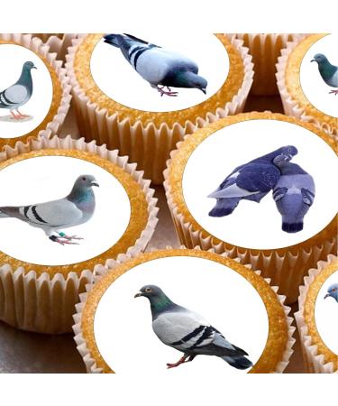 24 edible pigeons birds british wildlife kids childrens party decorations Iced/Icing Cupcake Topper Edible Fairy Cake Bun Toppers Round
