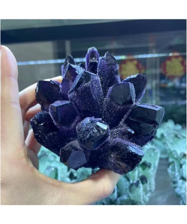 Crystals 1pc Natural Rare Purple Quartz Crystal Cluster Specimen Stone Collection - Buy Online on SooperMarket.com