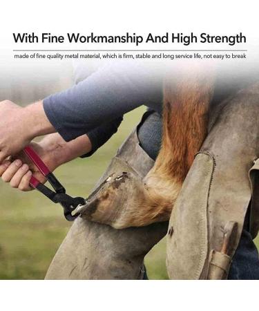 iksya Horse Hoof Nippers Trimmer - Professional Horse Farrier Tool Trimming Shears Nail Clippers for Goats Sheep Pigs Cattle Horses with Rubber Grip (Color : Green) - Buy Online on SooperMarket.com