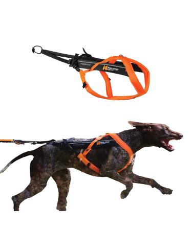 Non-stop dogwear Freemotion Harness 5.0 | Dog harness for all sports size: size 9 black/orange 9