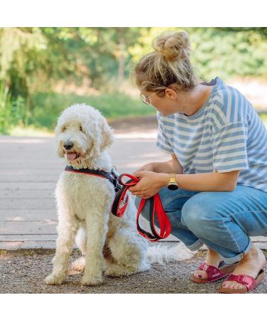 Nobby Norwegian Harness Mesh Preno - Pink Adjustable L: 38-50 cm 20/25 mm Pack of 6 - Lightweight & Comfortable - Buy Online on SooperMarket.com