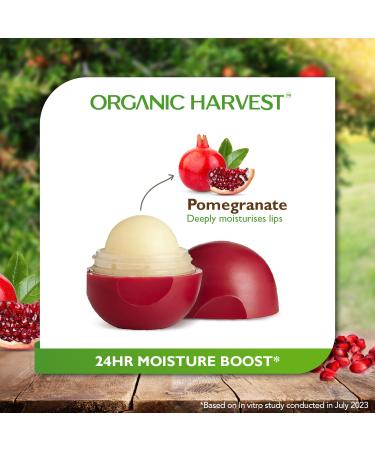  Moisturizing Pomegranate Lip Balm | Organic Lip Care for Dry & Chapped Lips | Paraben & Sulphate Free - 8 gm  - Buy Online on SooperMarket.com