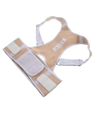 Jalzdieod Orthopedic Back Support Magnetic Posture Corrector-L 243224A2 - Buy Online on SooperMarket.com