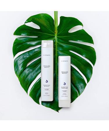 L'ANZA Healing Moisture Tamanu Cream Shampoo - 10.1 Fl Oz - Sulfate, Paraben, and Gluten-Free Formula for Dry, Coarse Hair - Buy Online on SooperMarket.com