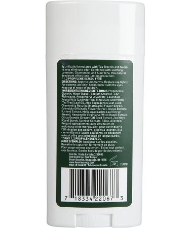 Desert Essence Tea Tree Oil Deodorant 2.5 oz - Natural Odor Protection - Buy Online on SooperMarket.com