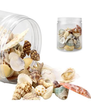 100+ Pcs WEOXPR Mixed Sea Shells & Starfish - Beach Themed Decor for Fish Tank, Vase Fillers, Wedding, Crafts & Home Decor - Buy Online on SooperMarket.com