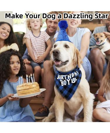 Sunallwell Dog Birthday Bandana & Party Hat Set | Cute Puppy Outfit & Decoration - Buy Online on SooperMarket.com