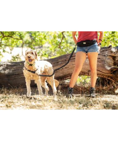 One Trail Hands Free Dog Lead | Durable Bungee Leash With No-Bounce Pack (Large Dog Black) Large Dog Black - Buy Online on SooperMarket.com