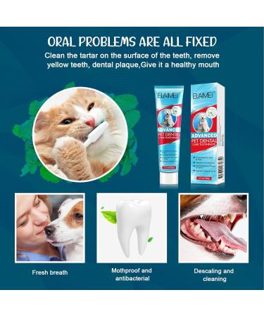 Dog Toothpaste Pet Dental Care: Dog Teeth Cleaning Kit Pets Dog Toothpaste for Dogs and Cats Teeth Cleaning Fresh Breath - Buy Online on SooperMarket.com