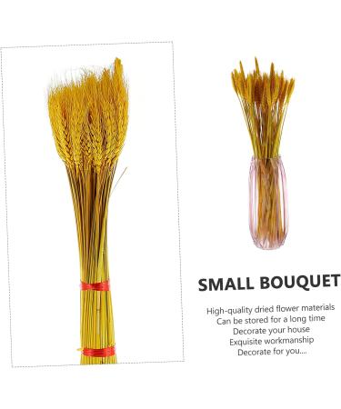 Abaodam 100pcs Dried Wheat Ears Bouquet Dried Rabbit Tail Grass Dried Floral Dried Wheat Stalk Picks Decked Wedding Ceremony Decorations Desktop Wheat Ear Rural Dried Flowers. Real Flower Yellow 52X10CM - Buy Online on SooperMarket.com
