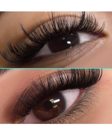 VAVALASH Cashmere Easy Fan Lashes | 0.03 0.05 0.07 C/CC/D/DD Volume | Matte Black Self Fanning Eyelash Extensions | 8MM-20MM | Professional Supplies for Lash Artists - Buy Online on SooperMarket.com