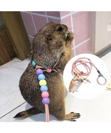 SHMLY 2-Piece Adjustable Leash & Harness for Lizards Hamsters Guinea Pigs & Small Pets - Blue & Pink - Buy Online on SooperMarket.com