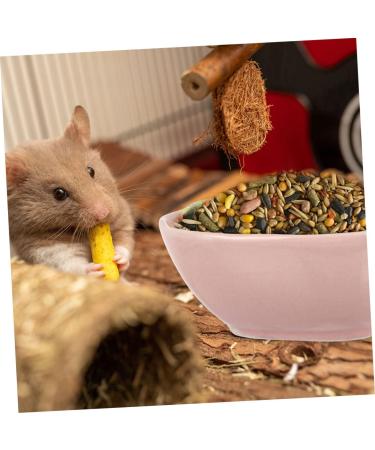 KICHOUSE 2pcs Hamster Food Plate Hamster Cage Accessories Bunny Food Hawaiian Food Hamster Bath Bowl Ceramic Rat Bowl Pet Bowl Small Cat Bowl Hamster Supplies Food Bowl for Cats Ceramics medium Pink - Buy Online on SooperMarket.com