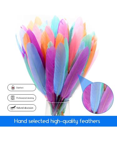 FeelfunFeather 240pcs Macaron Goose Cochettes Feathers 4-6 inch Bulk Natural - Wedding Party Halloween DIY Crafts - Buy Online on SooperMarket.com