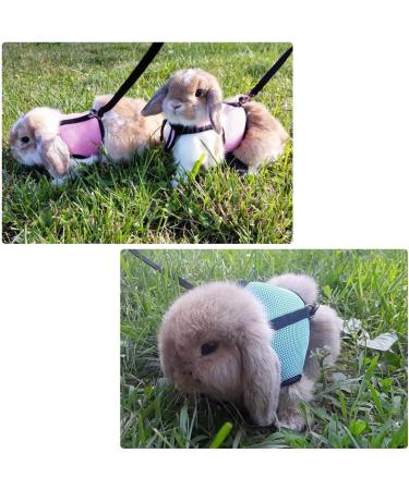 Soft Rabbit Dishes with Leash - Adjustable 2-Piece Mesh Set for Kittens & Pets | Durable & Comfortable - Buy Online on SooperMarket.com