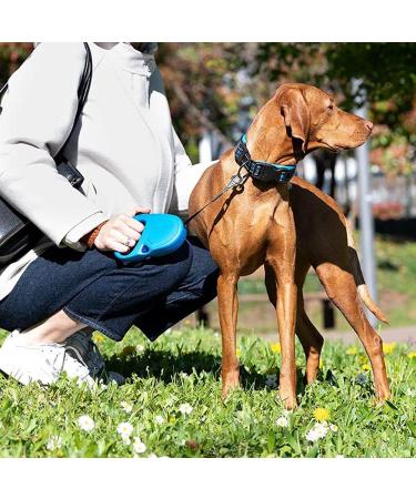 Ferplast Flippy One Dog Leash - 5m Roller Leash for Medium Dogs up to 25kg - Adjustable Locking Black - Buy Online on SooperMarket.com