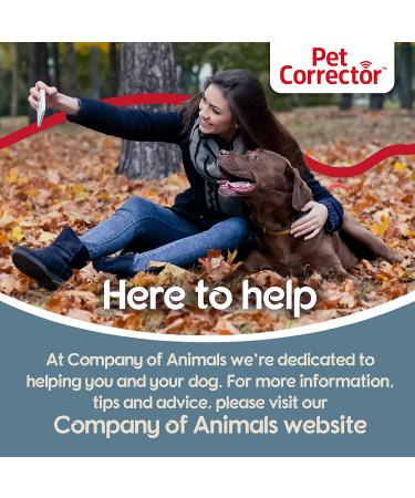 Pet Corrector Dog Trainer - Stop Barking, Jumping, Food Stealing & Dog Fights - 30ml - Safe, Humane & Effective - Buy Online on SooperMarket.com