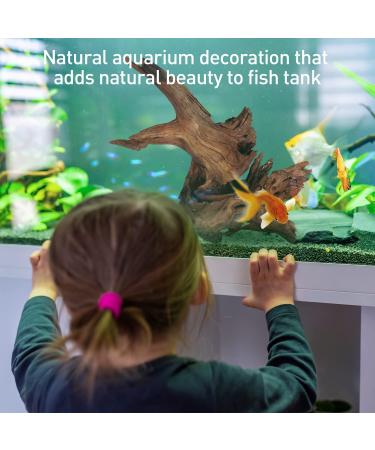 Natural Driftwood Aquarium Decor - Assorted Branches for Reptile/Fish Tank (2 Pack, 9-14 inch) - Buy Online on SooperMarket.com