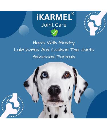 iKarmel Hip and Joint Care Supplements for Dogs - Glucosamine, Chondroitin, Green-Lipped Mussels - Senior to Puppy Treats for Stiff Joints (180 Chews) - Buy Online on SooperMarket.com